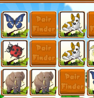 PairFinder
